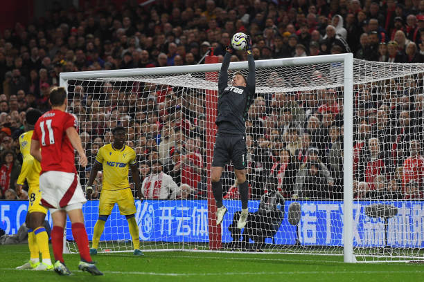 从何冰娇的 从何冰娇的