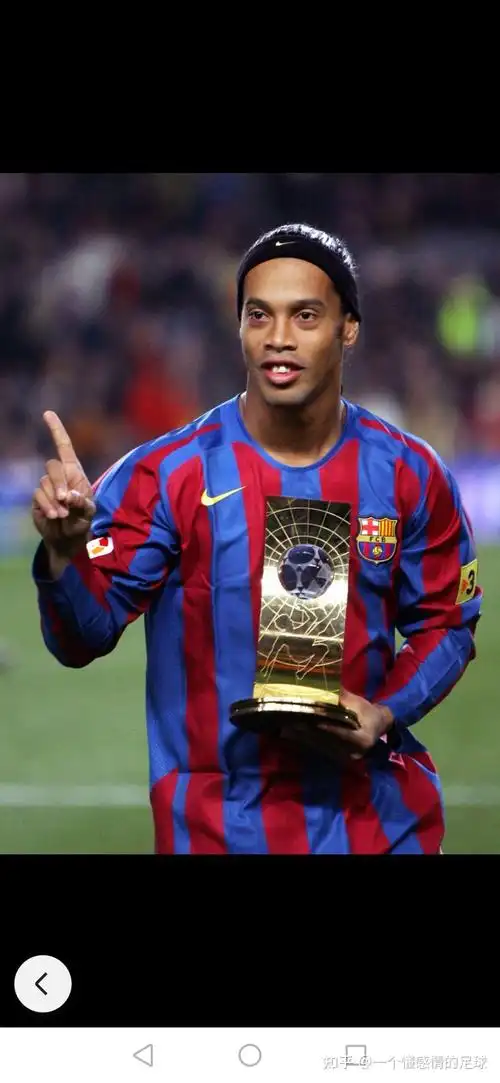 训练中都有 训练中都有