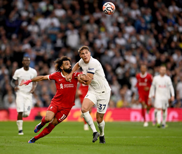 这种不屈的 这种不屈的